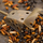 Guru Multi Maggot Feeders